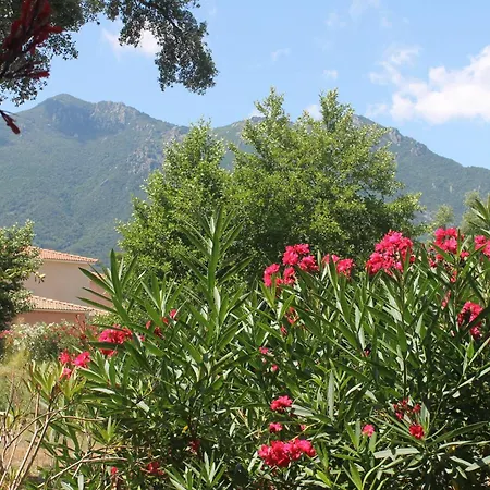 Chez Laurence Et Fabien Apartment